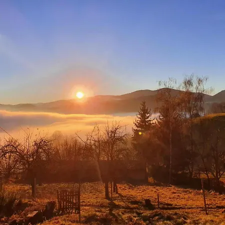 Le Nid Du Kaloui Freland