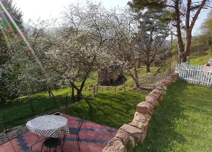 Le Nid Du Kaloui Bed & Breakfast Fréland